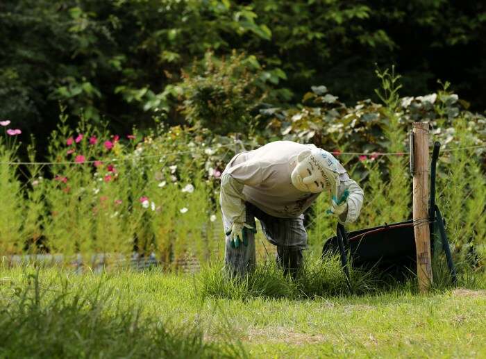 Scarecrows Illustrate Lives Of Japanese Countryside