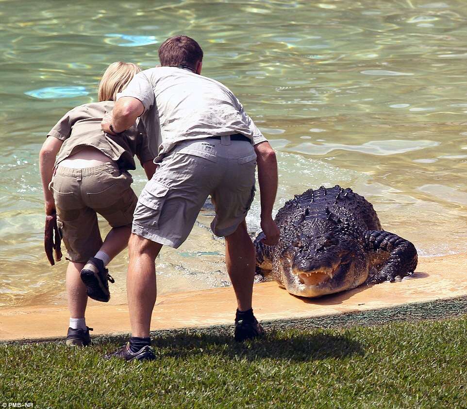 Menino de 10 anos por pouco não é atacado por crocodilo ao alimentá-lo