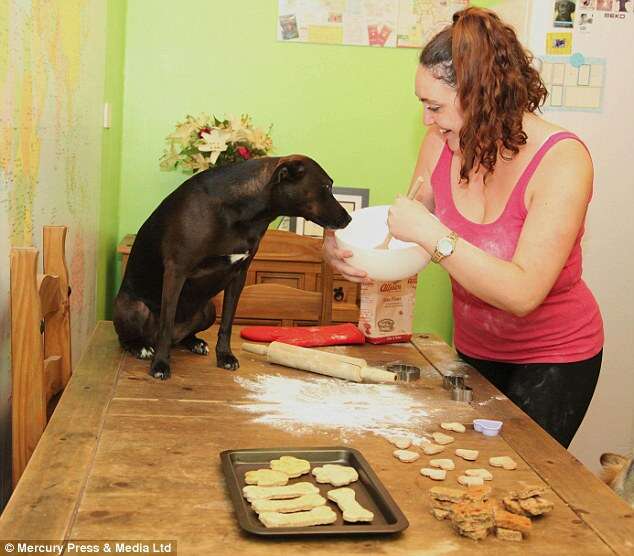 Mulher cria primeira padaria para cães