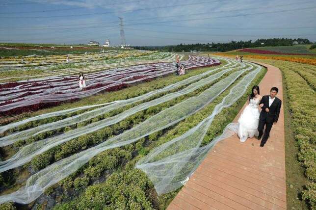 Noiva quebra recorde ao usar vestido de casamento gigante