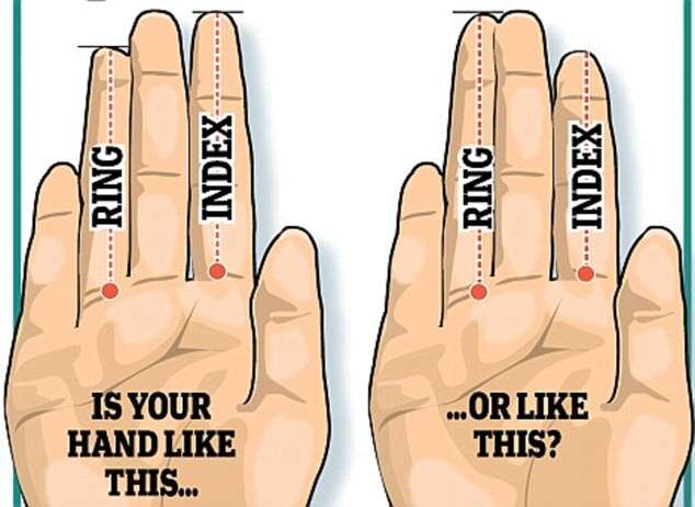 Pesquisa afirma que comprimento do dedo indicador de um homem, em relação a seu dedo anelar, mostra o tamanho dos testículos