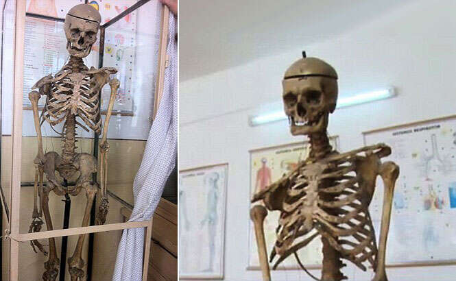 Diretor que trabalhou em escola durante 50 anos morre e doa seu esqueleto para as aulas de biologia