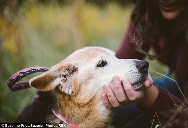 Fotógrafa cria álbum comovente com seu cão momentos antes de sacrificá-lo