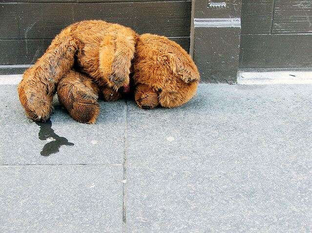 Ladrão é descoberto após ter relação íntima com urso de pelúcia