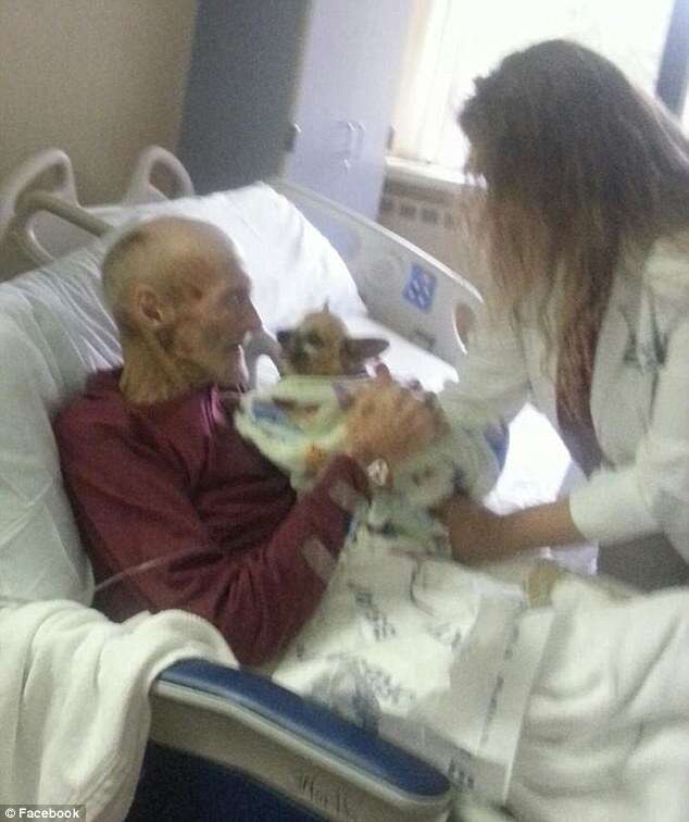 Vídeo comovente mostra idoso à beira da morte restaurar saúde após receber visita de seu cão