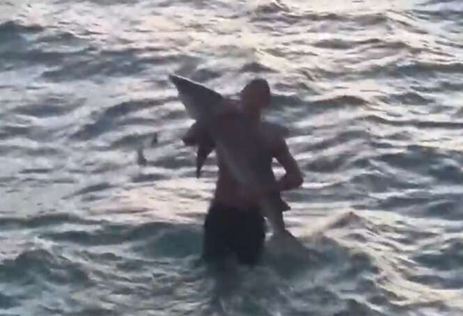 Veja vídeo de rapaz capturando tubarão com as mãos