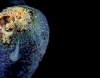 Assista um palito de fósforo pegar fogo em câmera lenta