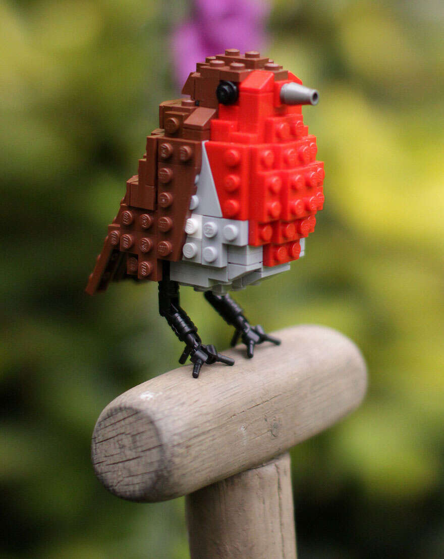 Apaixonado Por Aves Cria P ssaros Feitos Apenas Com Pe as De Lego