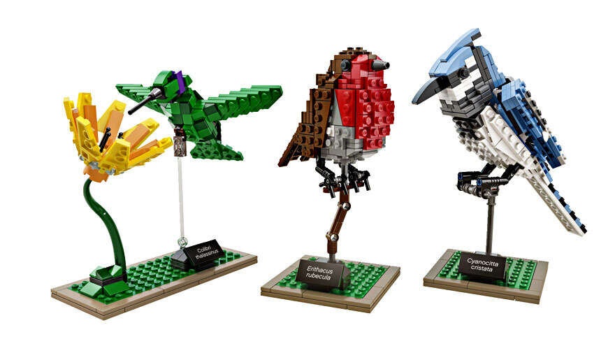 Apaixonado por aves cria pássaros feitos de Lego