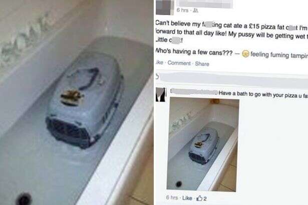 Mulher afoga gato em banheira e publica imagem no Facebook