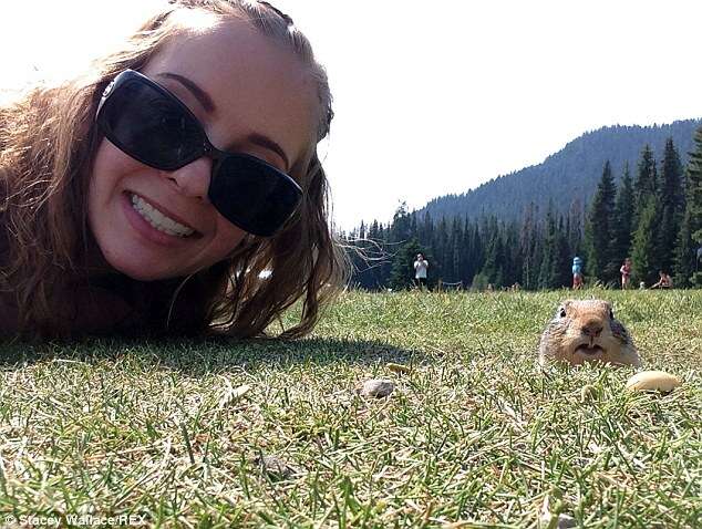 Jovem tira selfie com esquilo e imagem se torna viral na web