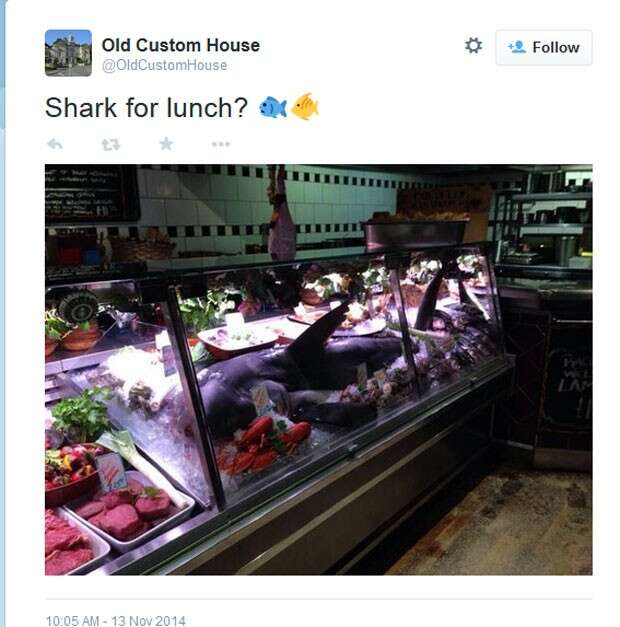 Restaurante servi tubarão inteiro em seu estabelecimento e causa polêmica