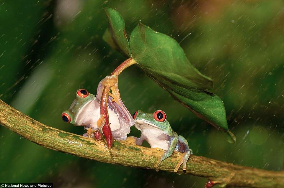 Evento reúne as principais fotografias capturadas na natureza neste ano