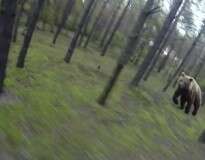 Vídeo causa polêmica ao mostrar enorme urso perseguindo ciclista em floresta nos Estados Unidos