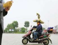 Homem chama atenção ao ser visto carregando cão e 180 quilos de areia sobre a cabeça enquanto guia sua motocicleta