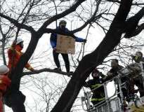 Homem escala árvore próxima de hospital e inicia leilão tentando vender seu rim