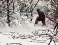 Vídeo causa repercussão ao flagrar enorme criatura misteriosa caminhando em floresta na Rússia