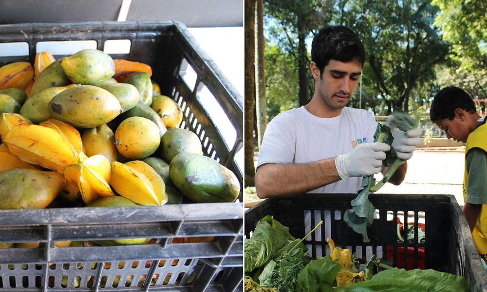 Projeto em São Paulo ajuda a alimentar pessoas carentes