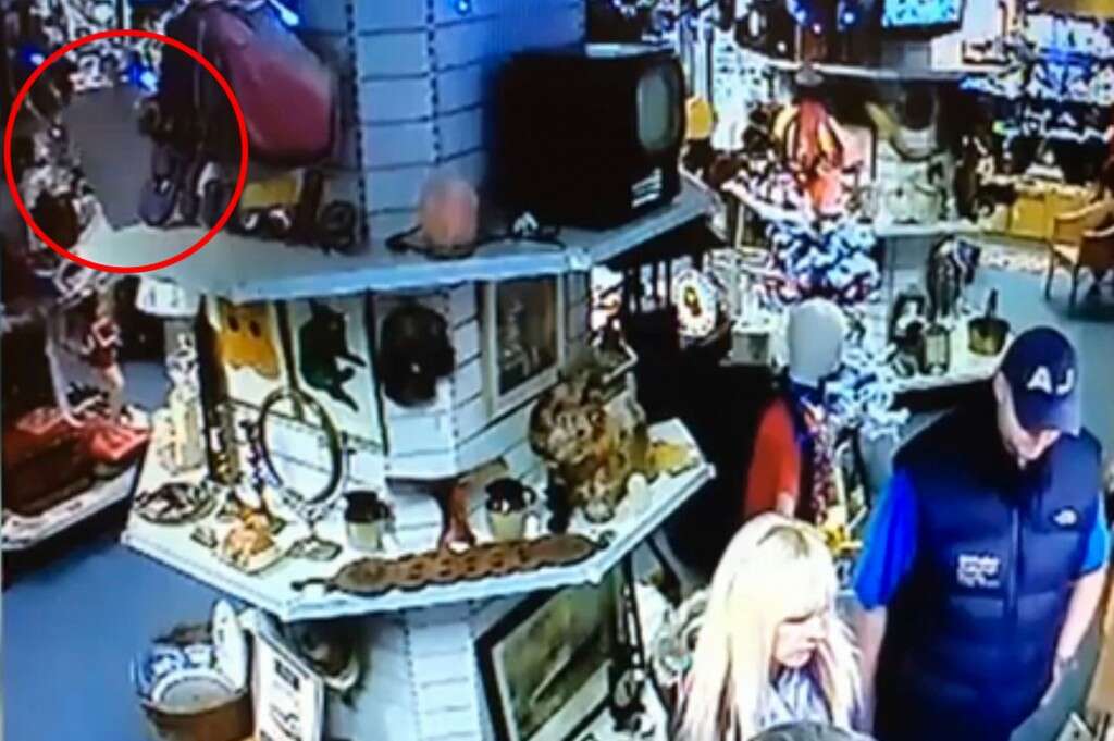 Câmeras de segurança flagram momento em que objeto cai sozinho de prateleira de loja