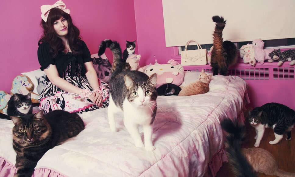 Fotógrafa cria série incrível de imagens com pessoas apaixonadas por gatos