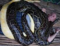 Zoológico oferece serviço de massagem a visitantes com cobra gigante mortal