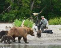 Fotógrafo destemido usa roupas camufladas e invade território de ursos para fotografá-los mais de perto