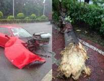 Motorista destrói completamente Ferrari de luxo ao se chocar contra árvore em estrada na China
