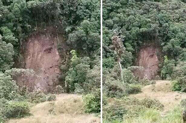 Suposta imagem de Jesus surge após deslizamento de terra