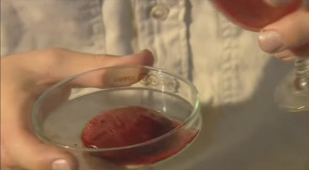 Vídeo mostra reação de sangue humano ao entrar em contato com veneno de cobra