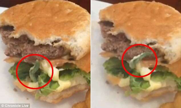 Cliente encontra lagarta viva saindo de dentro de hambúrguer
