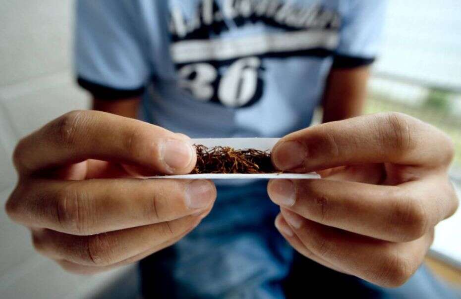 Maior parte das pessoas acredita que fumar maconha não faz mal, afirma estudo