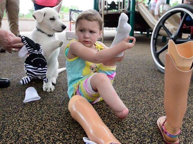 Menina que não possui os pés adota cão sem pata