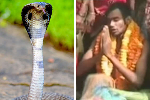 Homem realiza cerimônia de casamento com cobra