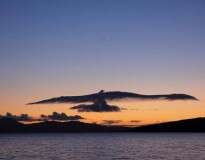 14 nuvens curiosas que se parecem com outra coisa