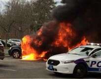 Homem usa álcool para matar insetos em seu carro e acaba incendiando três veículos