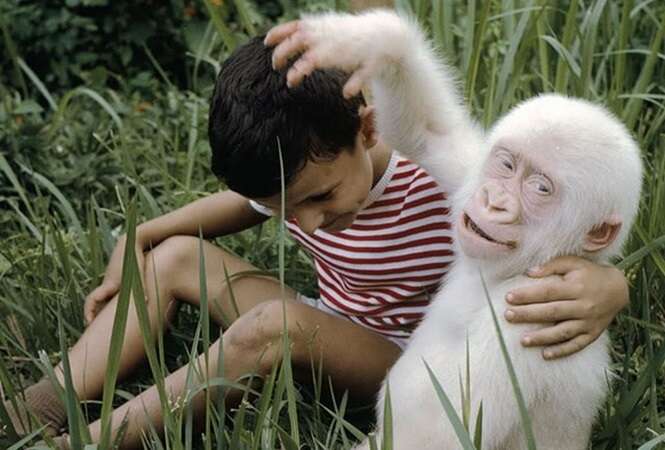 Animais albinos mais belos do mundo