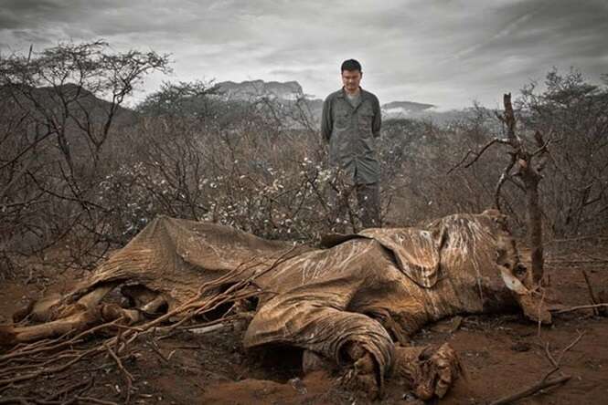 Imagens que provam que o mundo está pior que você imagina