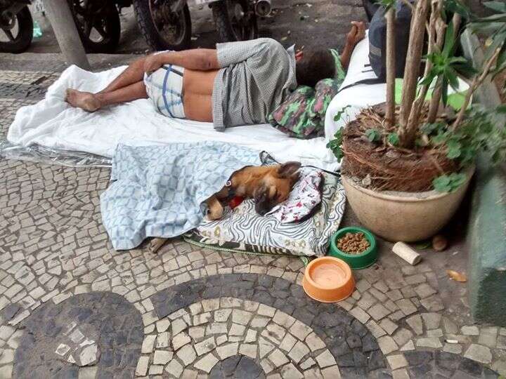 Morador de rua comove internautas ao improvisar cama para cãozinho