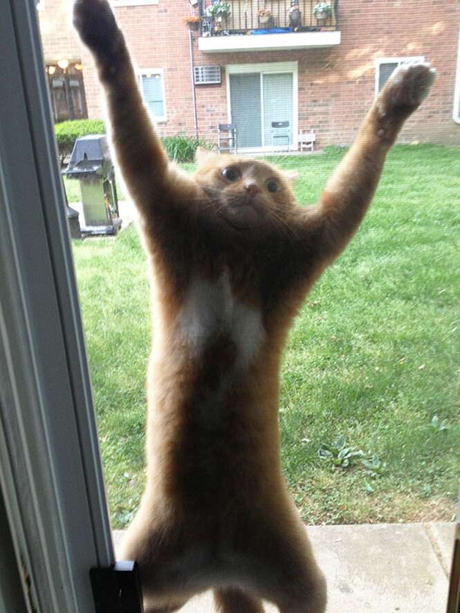 6-3
