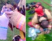 Imagem comovente mostra momento em que bombeiro salvou cão em incêndio dando máscara de oxigênio para animal respirar