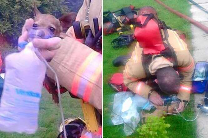 Imagem comovente mostra momento em que bombeiro salvou cão em incêndio