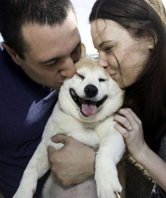 A cadela mais feliz do mundo