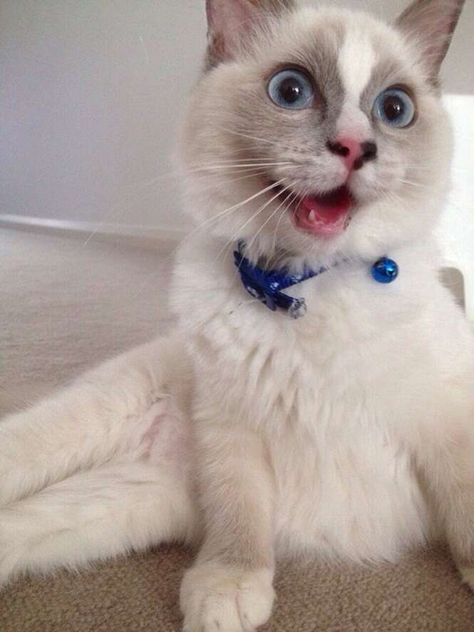 212