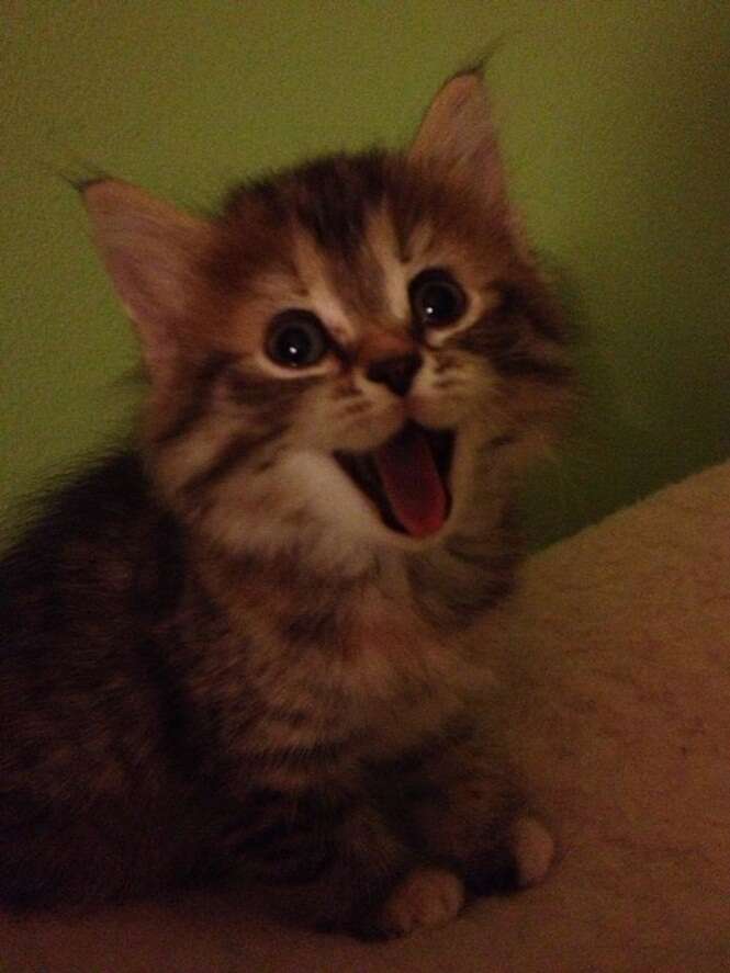217