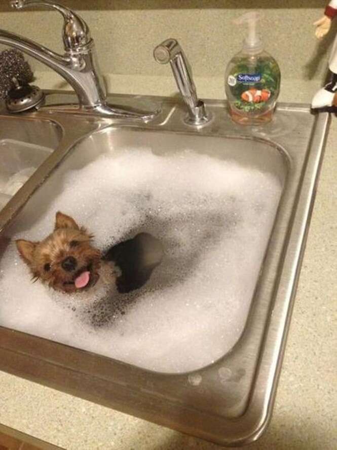 221