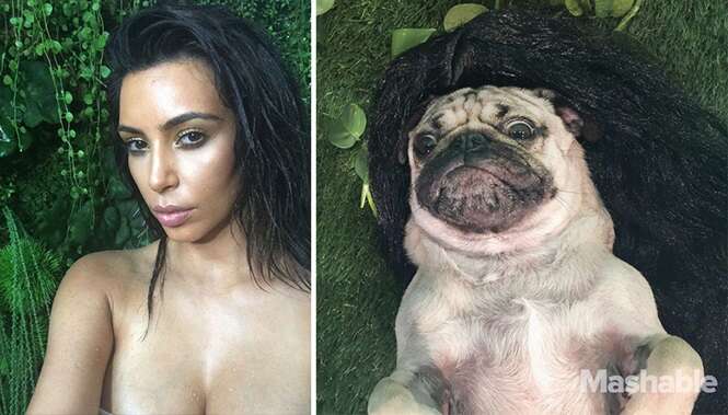 Pug vestido de Kim Kardashian