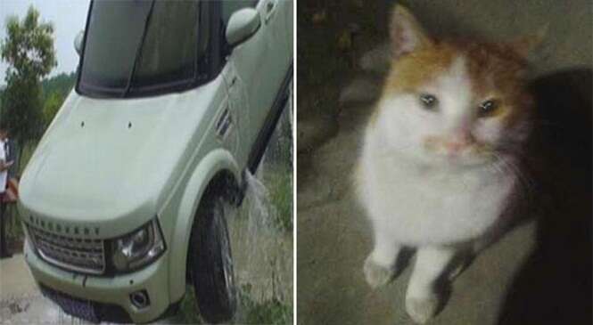 Motorista joga Land Rover em rio para evitar atropelar gato