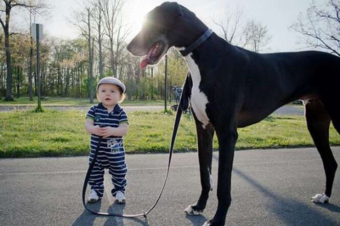 Foto de garotinho segurando coleira de cão muito maior que ele faz sucesso na web