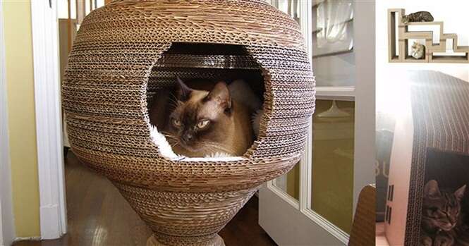 Casas de papelão criativas para seu gato