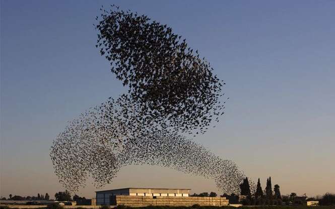 Imagens que mostram efeitos impressionantes da natureza